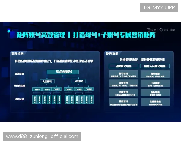 凯时官网提供的服务内容全面介绍